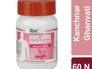 Patanjali Divya Kanchnar Ghanvati 60 N