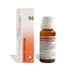 Dr. Reckeweg R6 Influenza Drop (22ml)