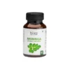 Bixa Botanical Moringa Extract Veg Capsules 1% Alkaloids