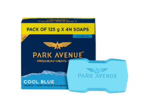 Park Avenue Cool Blue Men's Soap